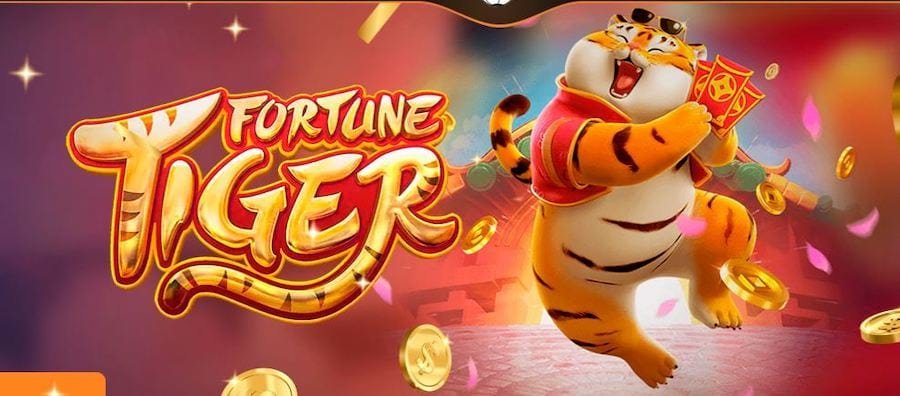 topqq live-dealer studio broadcast in HD on mobile screen